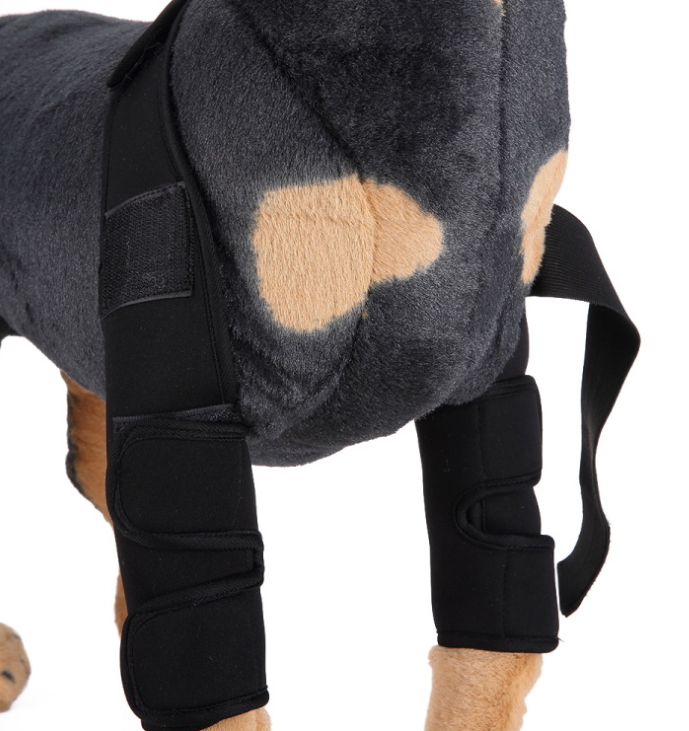 Pawfell Flex Support Leg Brace for Dogs