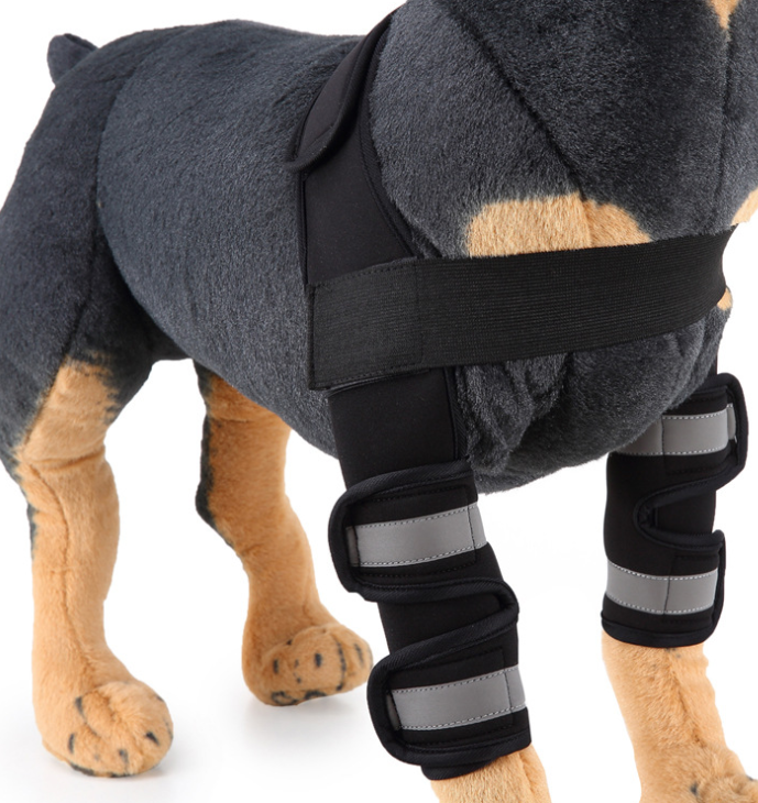 Pawfell Flex Support Leg Brace for Dogs